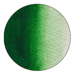 Jaxon Aquarellfarben 1/2 Näpfchen 508 - Hookersgrün