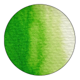 Jaxon Aquarellfarben 1/2 Näpfchen 514 - Gelbgrün