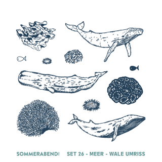 Clearstamp Set 26 - Meer - Wale Umriss