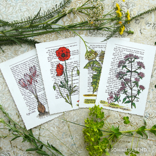 Vintage Postkarten-Set mit Pflanzen