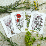 Vintage Postkarten-Set mit Pflanzen