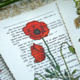 Vintage Postkarten-Set mit Pflanzen
