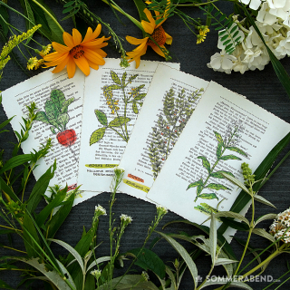 Vintage Postkarten-Set mit Blumen #2 Radieschen