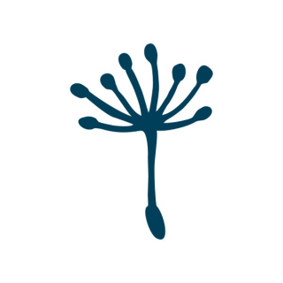 Löwenzahnschirmchen Pusteblume