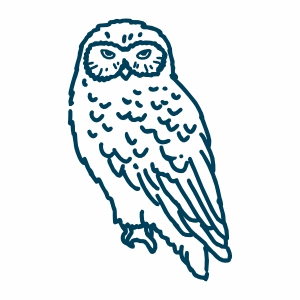 Eule realistisch seitlich A67