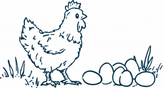 Henne mit Eiern 42x23mm