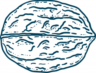 große Walnuss 33x25mm