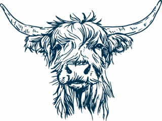 Highlandrind Kopf 38x28mm