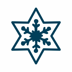 Nano Stern mit Schneeflocke innen