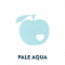 Pale Aqua