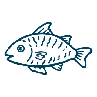 schmaler neuer Fisch linksguckend L79