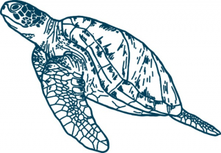 Meeresschildkröte 37x25mm