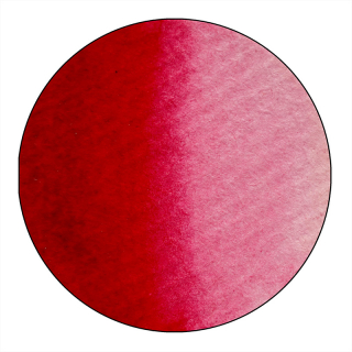 310 - Permanent Rosa