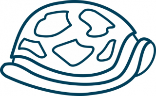 Schildkrötenpanzer 21x13mm