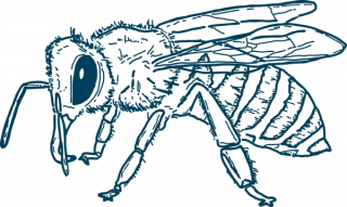 Biene realistisch 37x22mm